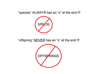 “ species” ALWAYS has an “s” at the end !!! SPECIE “ offspring”  NEVER  has an “s” at the end !!! OFFSPRINGS 