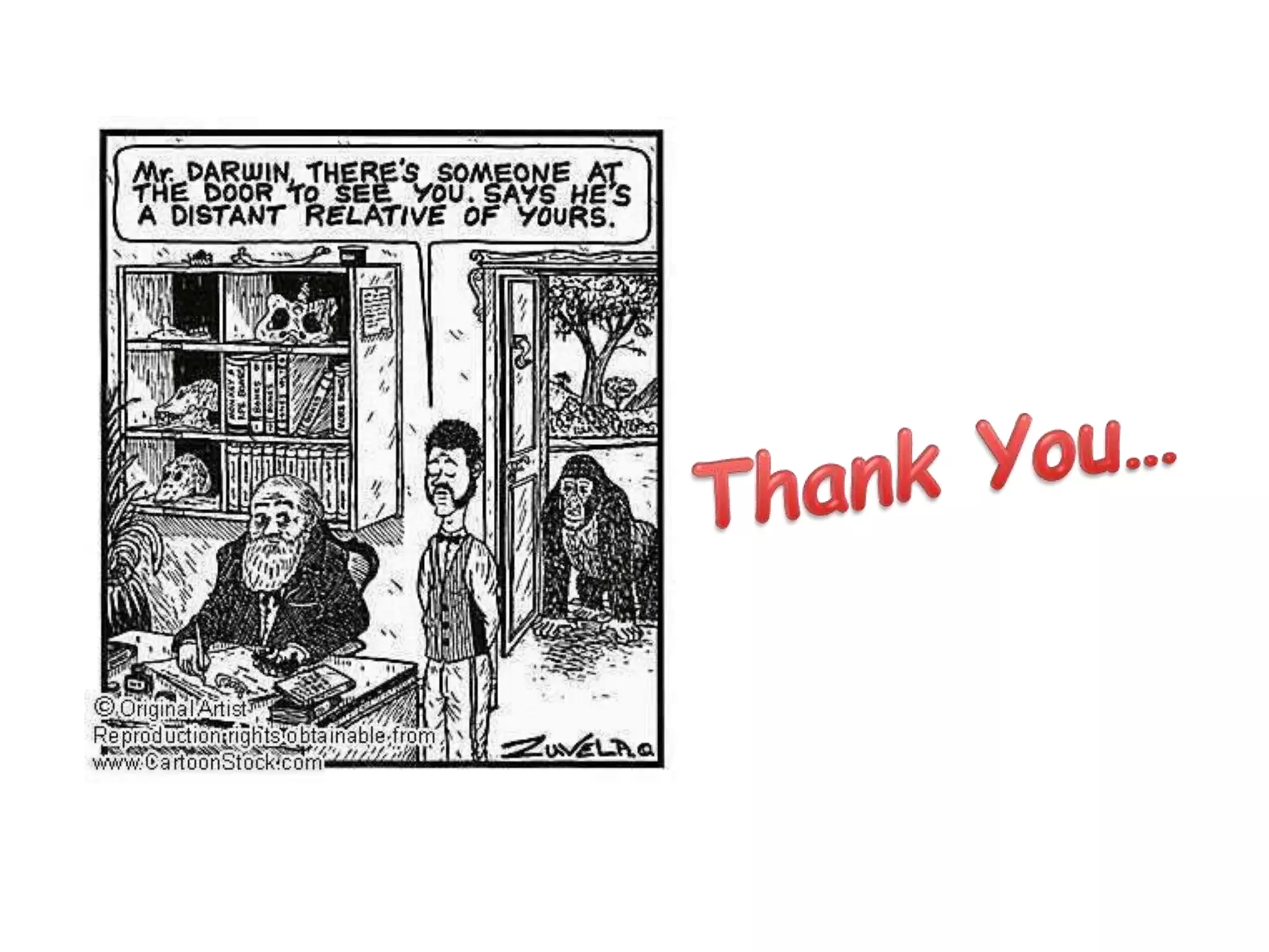 Speciation and domestication