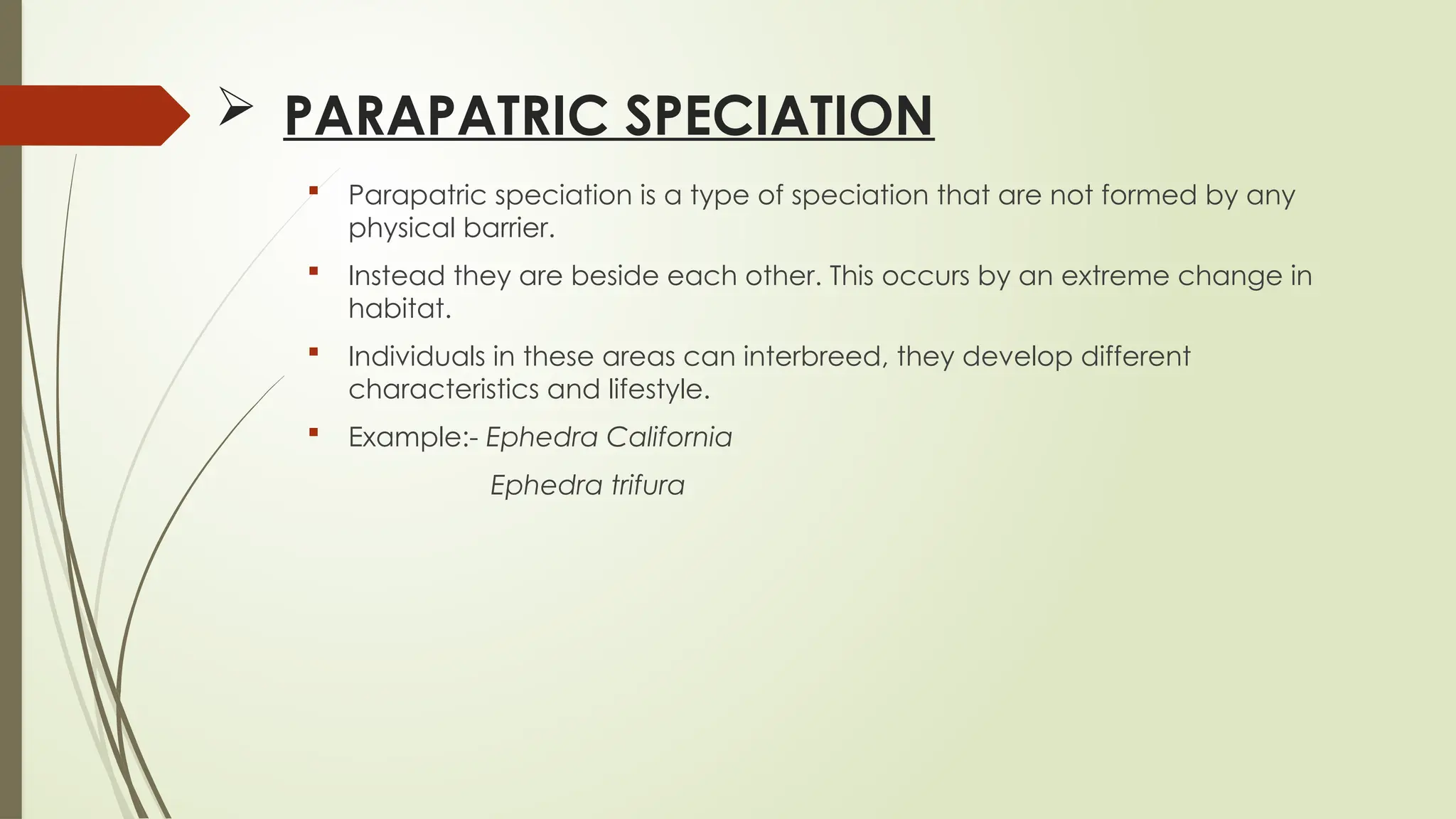  PARAPATRIC SPECIATION
 Parapatric speciation is a type of speciation that are not formed by any
physical barrier.
 Instead they are beside each other. This occurs by an extreme change in
habitat.
 Individuals in these areas can interbreed, they develop different
characteristics and lifestyle.
 Example:- Ephedra California
Ephedra trifura
 