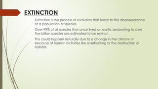 EXTINCTION
Extinction is the process of evolution that leads to the disappearance
of a population or species.
Over 99% of all species that once lived on earth, amounting to over
five billion species are estimated to be extinct.
This could happen naturally due to a change in the climate or
because of human activities like overhunting or the destruction of
habitat.
 
