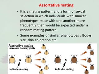 Assortative mating
• It is a mating pattern and a form of sexual
selection in which individuals with simikar
phenotypes mate with one another more
frequently than would be expected under a
random mating pattern.
• Some examples of similar phenotypes : Bodys
size, skin coloration etc.
 