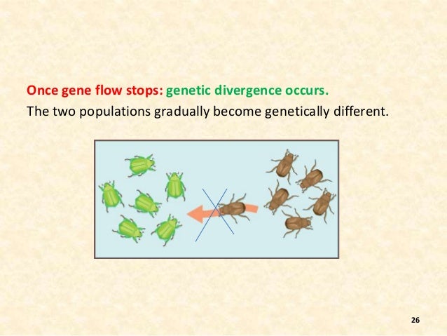 Best Ever Ppt On Speciation By Nagesh Sadili