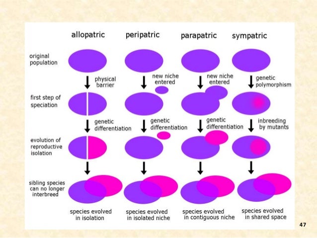 Best Ever Ppt On Speciation By Nagesh Sadili
