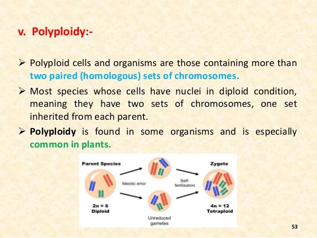 Best Ever Ppt On Speciation By Nagesh Sadili
