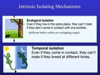 Intrinsic Isolating Mechanisms




    (different habits within an overlapping range)
 