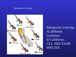 Salamander Evolution




                       Subspecies evolving
                       At different
                       Locations
                       in California…
                       ALL ARE SAME
                       SPECIES
 