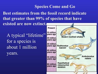 Species Come and Go
Best estimates from the fossil record indicate
that greater than 99% of species that have
existed are now extinct.

  A typical “lifetime”
  for a species is
  about 1 million
  years.
 