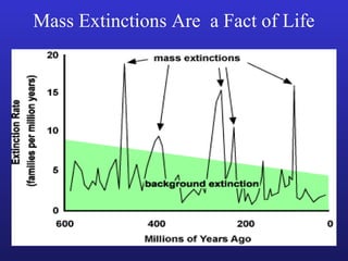 Mass Extinctions Are a Fact of Life
 