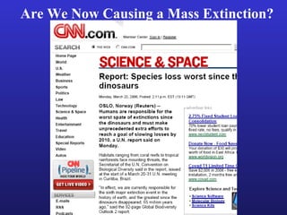 Are We Now Causing a Mass Extinction?
 