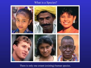 What is a Species?




There is only one extant (existing) human species.
 
