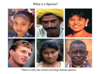 Speciation presentation in systemetic | PPT