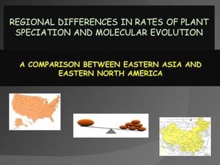 A COMPARISON BETWEEN EASTERN ASIA AND
        EASTERN NORTH AMERICA
 