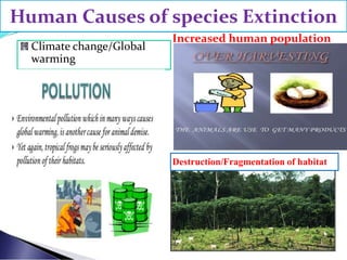 Human Causes of species Extinction
Climate change/Global
warming
Increased human population
Destruction/Fragmentation of habitat
 