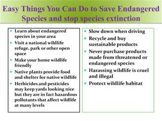 Easy Things You Can Do to Save Endangered
Species and stop species extinction
 Slow down when driving
 Recycle and buy
sustainable products
 Never purchase products
made from threatened or
endangered species
 Harassing wildlife is cruel
and illegal
 Protect wildlife habitat
 Learn about endangered
species in your area
 Visit a national wildlife
refuge, park or other open
space
 Make your home wildlife
friendly
 Native plants provide food
and shelter for native wildlife
 Herbicides and pesticides
may keep yards looking nice
but they are in fact hazardous
pollutants that affect wildlife
at many levels
 