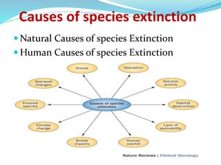 Causes of species extinction
 Natural Causes of species Extinction
 Human Causes of species Extinction
 