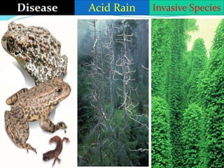 Disease Acid Rain Invasive Species
 