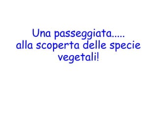 Una passeggiata.....
alla scoperta delle specie
vegetali!

 