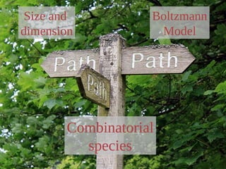 Size and
dimension
Boltzmann
Model
Combinatorial
species
 