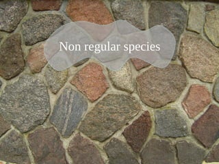 Non regular speciesNon regular species
 