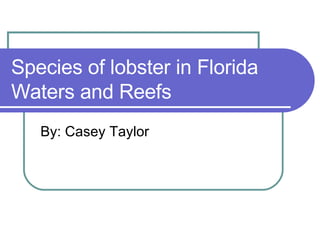 Species of lobster in Florida Waters and Reefs By: Casey Taylor 