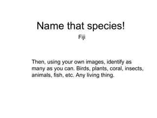 Name that species