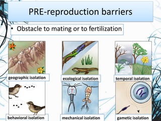 Gametic Barrier Example Speciesandspeciation 160330185521 | PDF