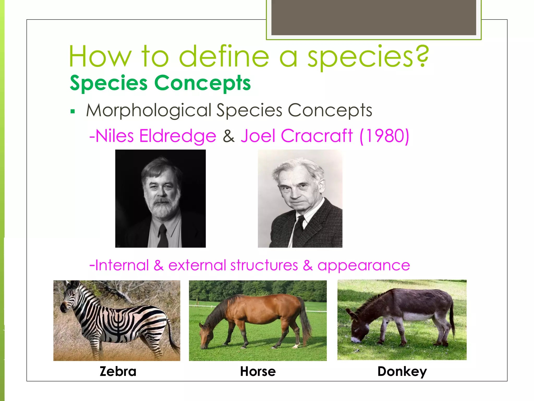 Species and speciation | PDF