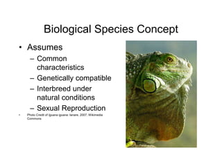Species and Speciation Powerpoint 1407 revised.ppt