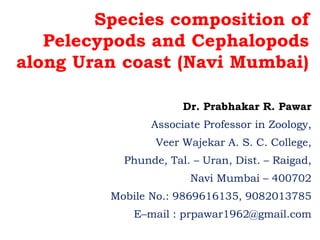 Species composition of
Pelecypods and Cephalopods
along Uran coast (Navi Mumbai)
Dr. Prabhakar R. Pawar
Associate Professor in Zoology,
Veer Wajekar A. S. C. College,
Phunde, Tal. – Uran, Dist. – Raigad,
Navi Mumbai – 400702
Mobile No.: 9869616135, 9082013785
E–mail : prpawar1962@gmail.com
 
