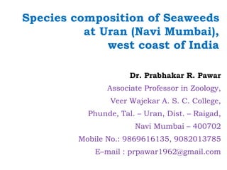Species composition of Seaweeds
at Uran (Navi Mumbai),
west coast of India
Dr. Prabhakar R. Pawar
Associate Professor in Zoology,
Veer Wajekar A. S. C. College,
Phunde, Tal. – Uran, Dist. – Raigad,
Navi Mumbai – 400702
Mobile No.: 9869616135, 9082013785
E–mail : prpawar1962@gmail.com
 