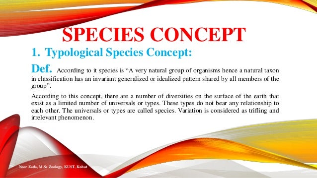 what are typological species concept