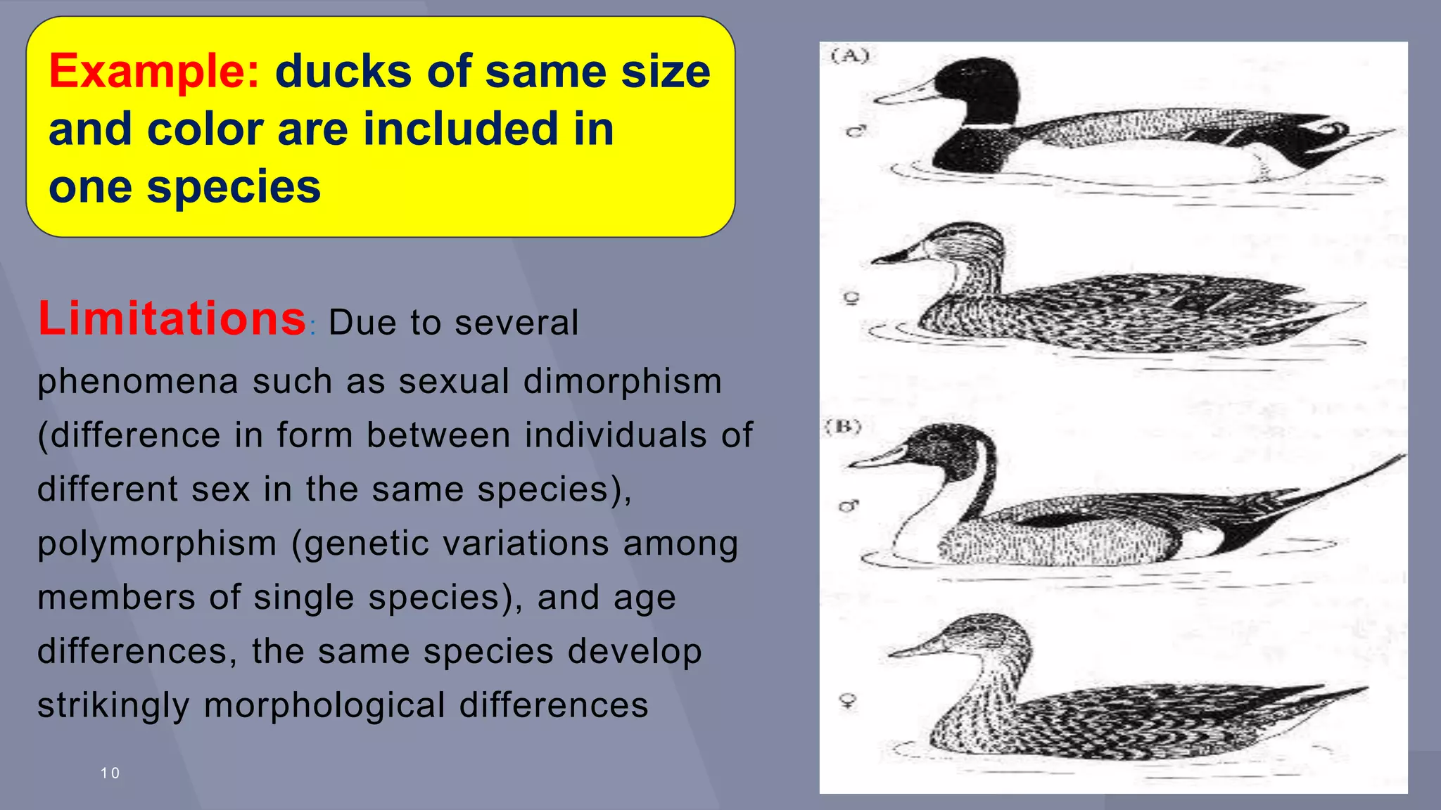 CLASSIFICATION OF SPECIES CHART visual data 7