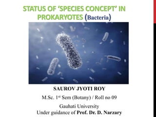 STATUS OF ‘SPECIES CONCEPT’ IN
PROKARYOTES (Bacteria)
SAUROV JYOTI ROY
M.Sc. 1st Sem (Botany) / Roll no 09
Gauhati University
Under guidance of Prof. Dr. D. Narzary
 