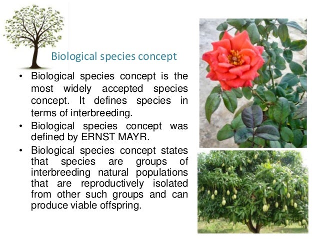 what are ecological species concept