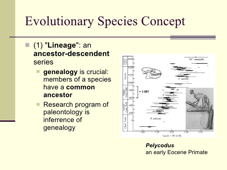 what is an example of evolutionary species concept