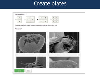 Create plates
 