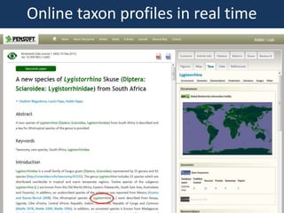 Taxon profile in real timeOnline taxon profiles in real time
 