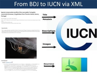This is how it started
Descriptions
Images
Occurrence
s
Title
Metadata
From BDJ to IUCN via XML
 