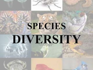 SPECIES
DIVERSITY-Ecology-
 