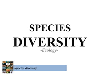 SPECIES
DIVERSITY-Ecology-
Species diversity
 