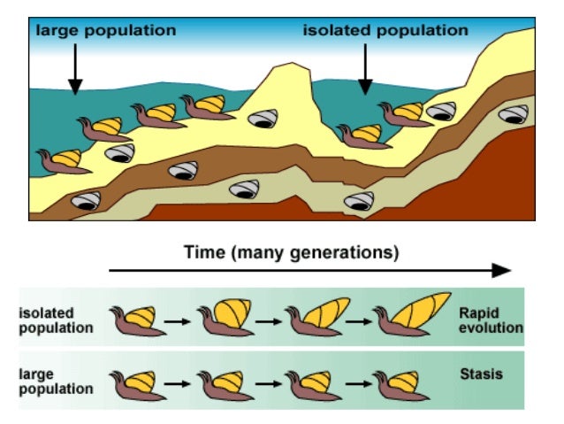 species diversity species diversity