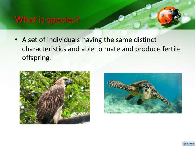 Species diversity