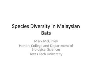 Species Diversity in Malaysian Bats Mark McGinley Honors College and Department of Biological Sciences Texas Tech University 