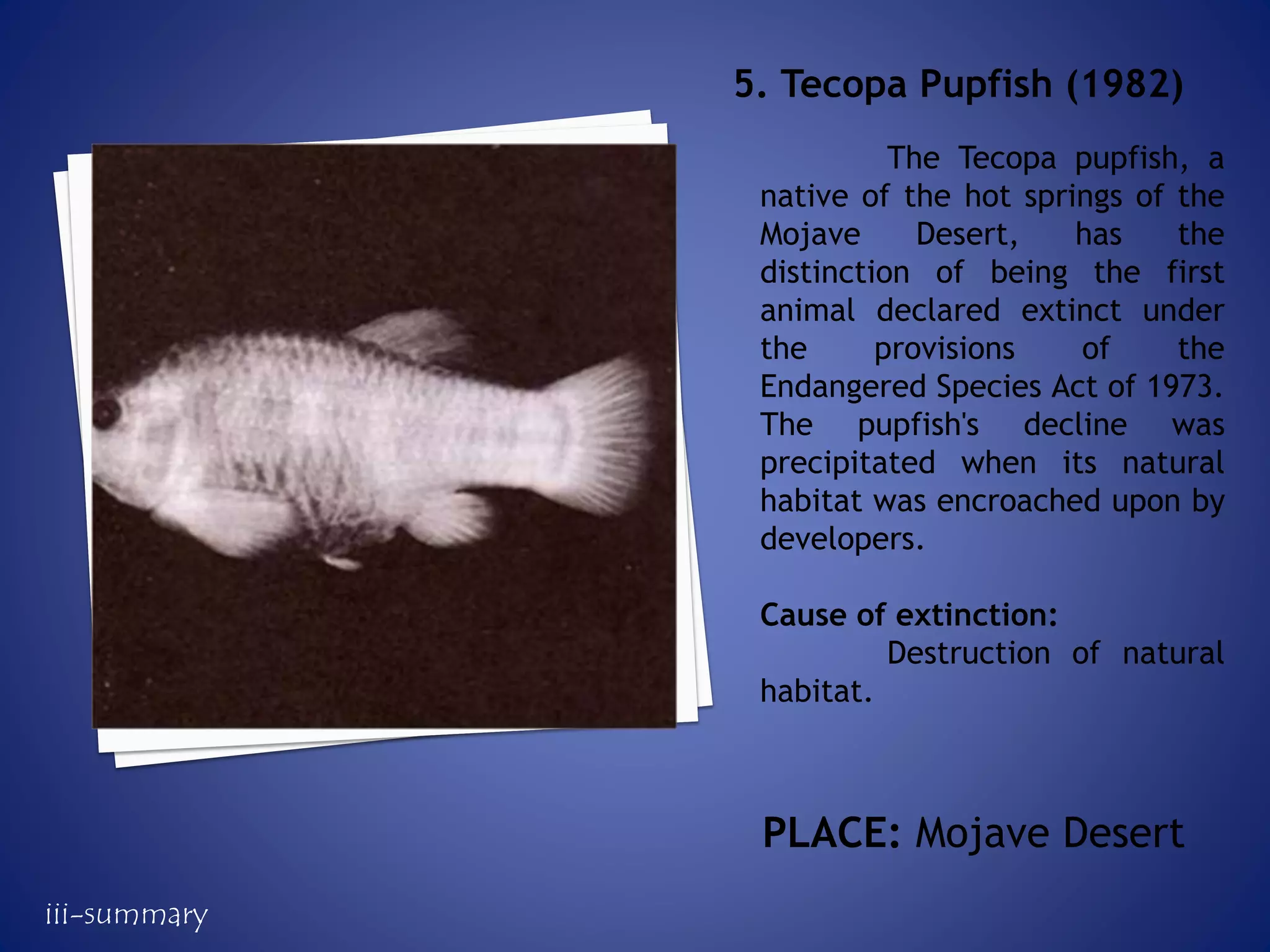 The Tecopa pupfish, a
native of the hot springs of the
Mojave Desert, has the
distinction of being the first
animal declared extinct under
the provisions of the
Endangered Species Act of 1973.
The pupfish's decline was
precipitated when its natural
habitat was encroached upon by
developers.
Cause of extinction:
Destruction of natural
habitat.
5. Tecopa Pupfish (1982)
PLACE: Mojave Desert
iii-summary
 
