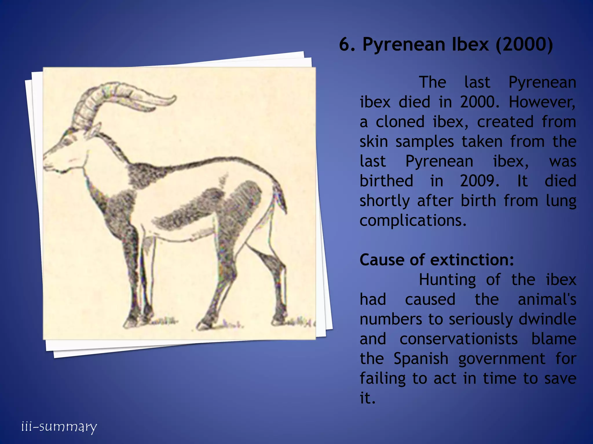 The last Pyrenean
ibex died in 2000. However,
a cloned ibex, created from
skin samples taken from the
last Pyrenean ibex, was
birthed in 2009. It died
shortly after birth from lung
complications.
Cause of extinction:
Hunting of the ibex
had caused the animal's
numbers to seriously dwindle
and conservationists blame
the Spanish government for
failing to act in time to save
it.
6. Pyrenean Ibex (2000)
iii-summary
 