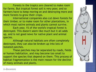 Forests in the tropics are cleared to make room
for farms. But tropical forest soil is very poor, and so
farmers have to keep moving on and destroying more and
more forests to grow their crops.
International companies also cut down forests for
their timber, or to make room for other plantations, in
which most native animals and plants cannot survive.
Each year, 1% of the world's tropical forest is
destroyed. This doesn't seem like much but it all adds
up, and is not good news for native plant and animal
species.
Although natural habitats are often completely
destroyed, they can also be broken up into lots of
isolated patches.
These patches may be separated by roads, fields
or human habitation, and may become too small to
support the species that depend on them. This process of
habitat fragmentation is the main reason for the decline
of many animals and plants.
ii-discussion
 