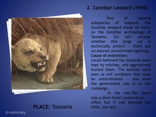 One of several
subspecies of leopard, the
Zanzibar leopard made its home
on the Zanzibar archipelago of
Tanzania. It's still unclear
whether this large cat is
technically extinct — there are
occasional unconfirmed sightings.
Cause of extinction:
Locals believed the leopards were
kept by witches, and aggressively
hunted them. The animals were
seen as evil predators that must
be exterminated — and even
the government was in on the
campaign.
In the mid-'90s there
was a short-lived conservation
effort but it was deemed too
little, too late.
2. Zanzibar Leopard (1996)
PLACE: Tanzania
iii-summary
 