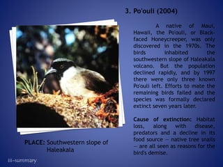 A native of Maui,
Hawaii, the Po'ouli, or Black-
faced Honeycreeper, was only
discovered in the 1970s. The
birds inhabited the
southwestern slope of Haleakala
volcano. But the population
declined rapidly, and by 1997
there were only three known
Po'ouli left. Efforts to mate the
remaining birds failed and the
species was formally declared
extinct seven years later.
Cause of extinction: Habitat
loss, along with disease,
predators and a decline in its
food source — native tree snails
— are all seen as reasons for the
bird's demise.
3. Po'ouli (2004)
PLACE: Southwestern slope of
Haleakala
iii-summary
 
