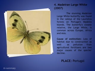 The stunning Madeiran
Large White butterfly was found
in the valleys of the Laurisilva
forests on Portugal's Madeira
Islands. The butterfly's closest
relative, the Large White, is
common across Europe, Africa
and Asia.
Cause of extinction: Loss of
habitat due to construction as
well as pollution from
agricultural fertilizers are two
major causes of the species'
decline.
4. Madeiran Large White
(2007)
PLACE: Portugal
iii-summary
 