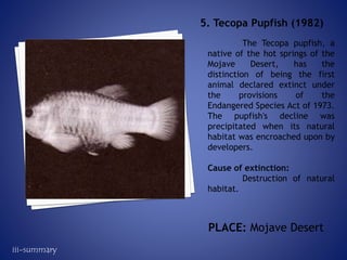 The Tecopa pupfish, a
native of the hot springs of the
Mojave Desert, has the
distinction of being the first
animal declared extinct under
the provisions of the
Endangered Species Act of 1973.
The pupfish's decline was
precipitated when its natural
habitat was encroached upon by
developers.
Cause of extinction:
Destruction of natural
habitat.
5. Tecopa Pupfish (1982)
PLACE: Mojave Desert
iii-summary
 